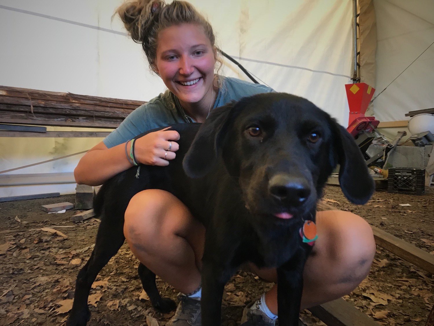 Chloe Veterinary Technician Chloe Veterinary Technician