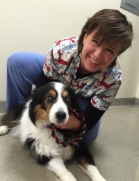 Dr. Aimee Zelman Dr. Aimee Zelman