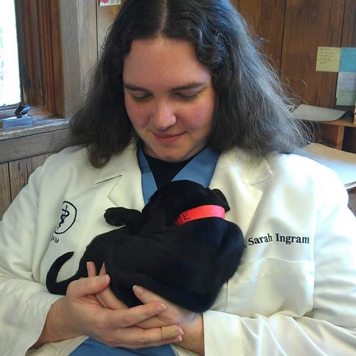 Dr. Sarah Ingram- Newbury Animal Hospital-Newbury, MA Dr. Sarah Ingram- Newbury Animal Hospital-Newbury, MA