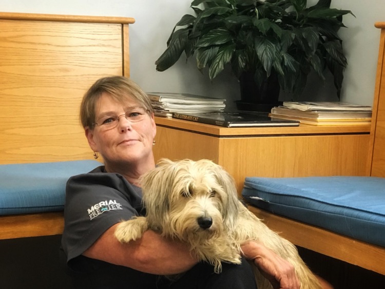 Nancy is a receptionist - Newbury Animal Hospital - Newbury, MA