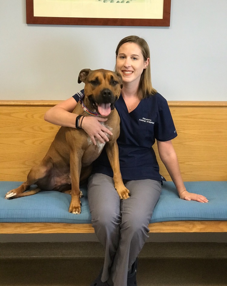 Sarah is a vet tech at Newbury Animal Hospital-Newbury, MA Sarah is a vet tech at Newbury Animal Hospital-Newbury, MA