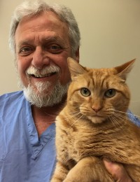 Dr. Grillo